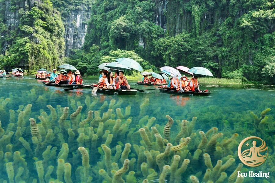 10 điểm du lịch xanh – du lịch sinh thái lý tưởng tại Việt Nam