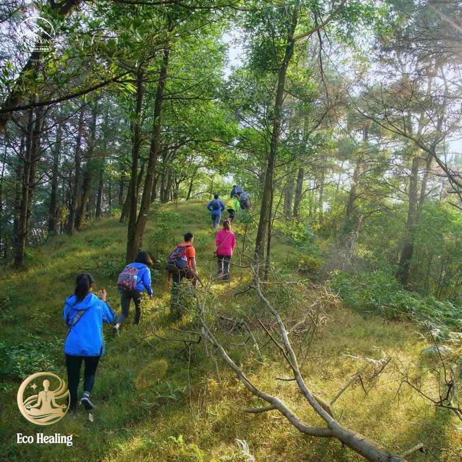 Chi phí trekking Hàm Lợn: Đi bao nhiêu tiền là đủ cho chuyến đi trọn vẹn?