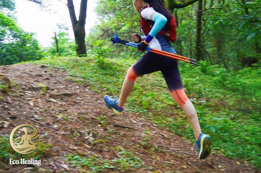 Chi phí trekking Hàm Lợn: Đi bao nhiêu tiền là đủ cho chuyến đi trọn vẹn?