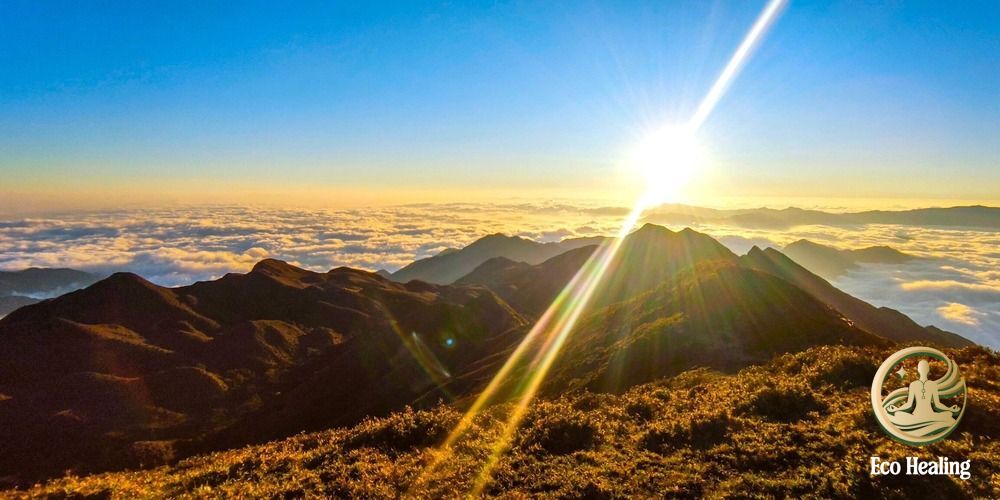 Chi phí trekking Tà Chì Nhù: Cập nhật giá tour + mẹo tiết kiệm 2025