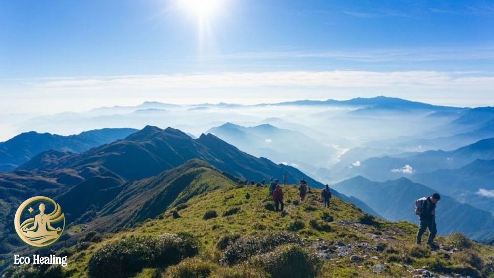 Chi phí trekking Tà Chì Nhù: Cập nhật giá tour + mẹo tiết kiệm 2025