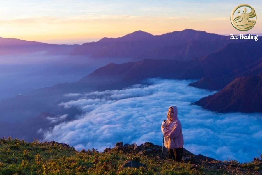 Chi phí trekking Tà Chì Nhù: Cập nhật giá tour + mẹo tiết kiệm 2025