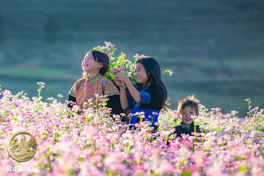 Đi đâu cuối tuần? Gợi ý 7 điểm trekking gần Hà Nội