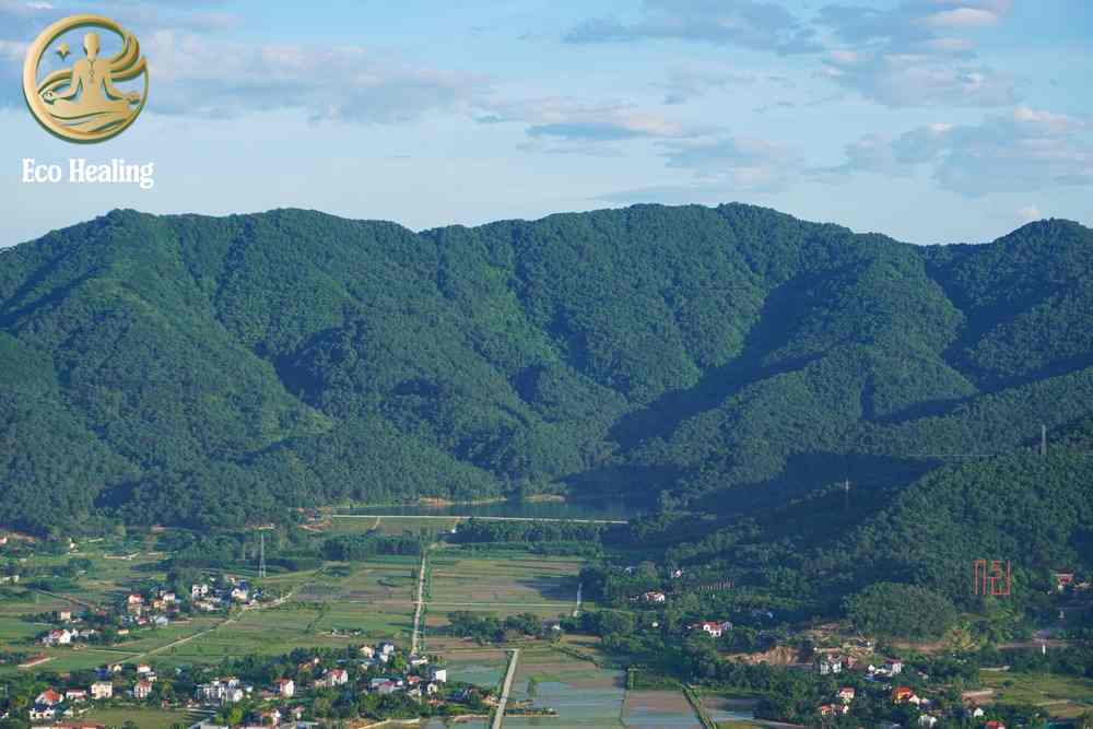 Đi trekking Hàm Lợn tự túc: Lộ trình, chi phí và lưu ý an toàn
