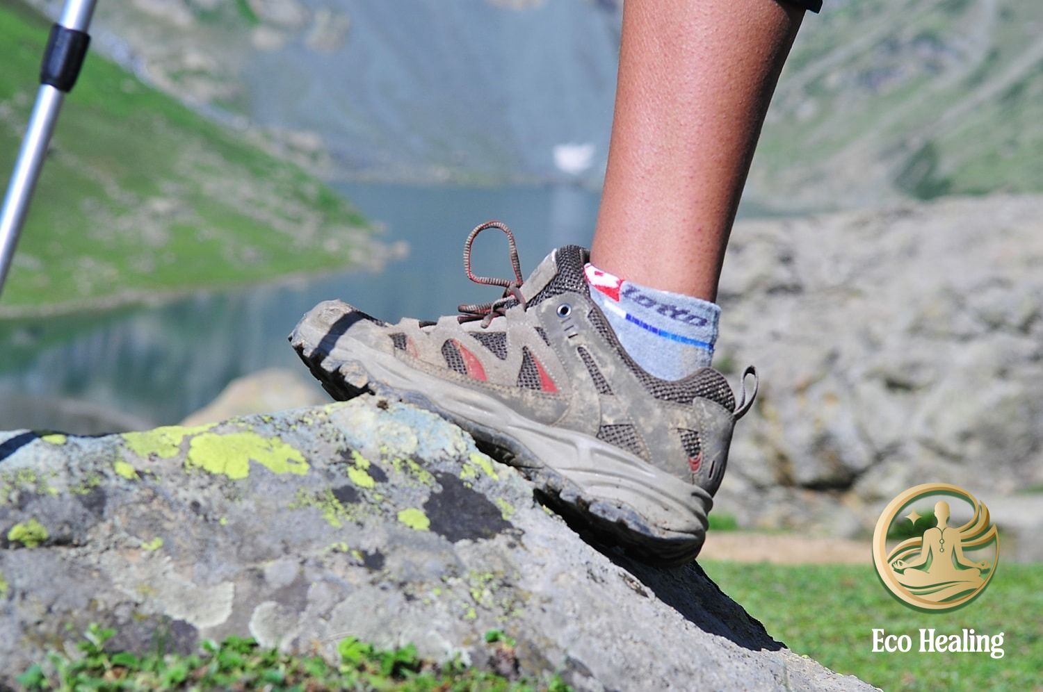 Giày trekking nào tốt cho người mới? Lời khuyên chọn theo địa hình & ngân sách