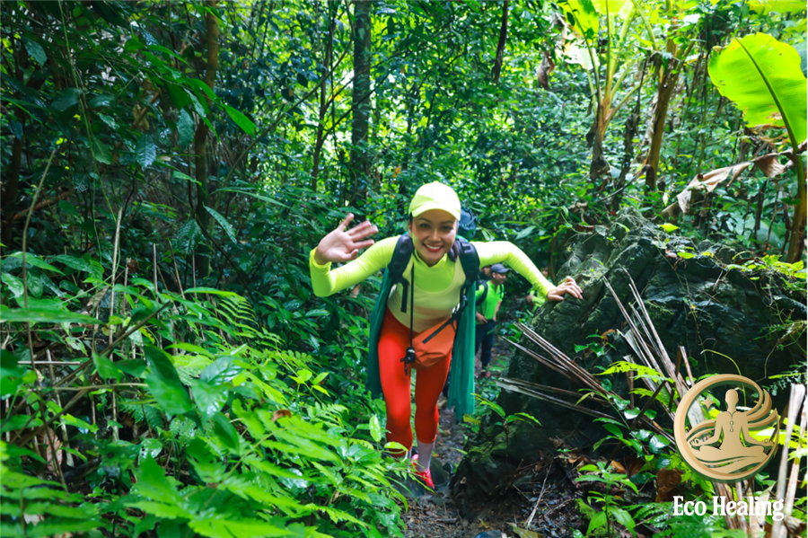 Top 15 địa điểm trekking đẹp nhất Việt Nam không thể bỏ qua