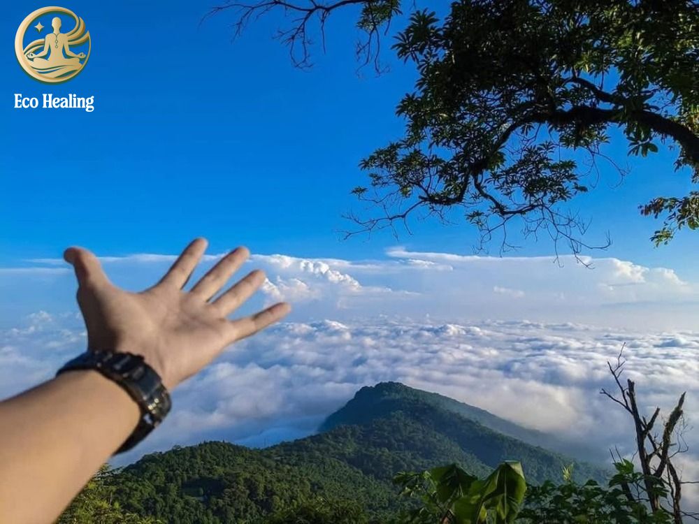 Trekking Ba Vì trong ngày: "Đi trốn" khói bụi Hà Nội cuối tuần cực Chill.