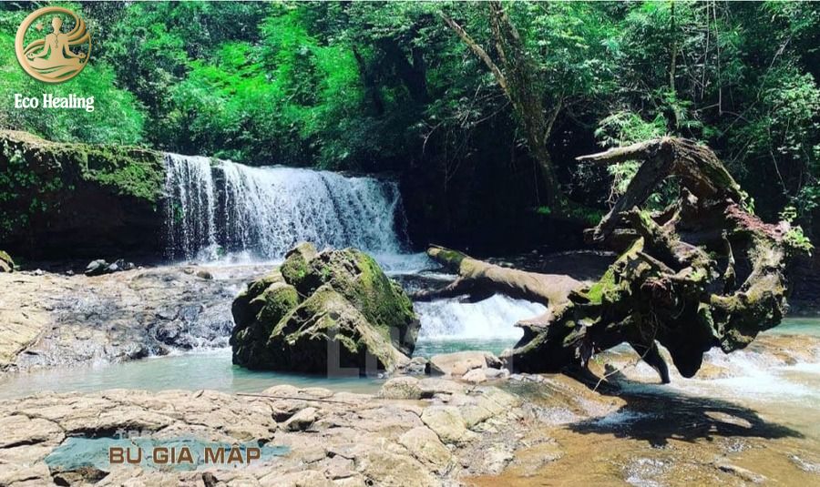 Trekking Bù Gia Mập: Hướng dẫn cắm trại, sinh tồn giữa rừng xanh Bình Phước.