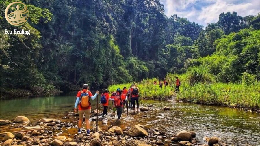 Trekking Bù Gia Mập: Hướng dẫn cắm trại, sinh tồn giữa rừng xanh Bình Phước.