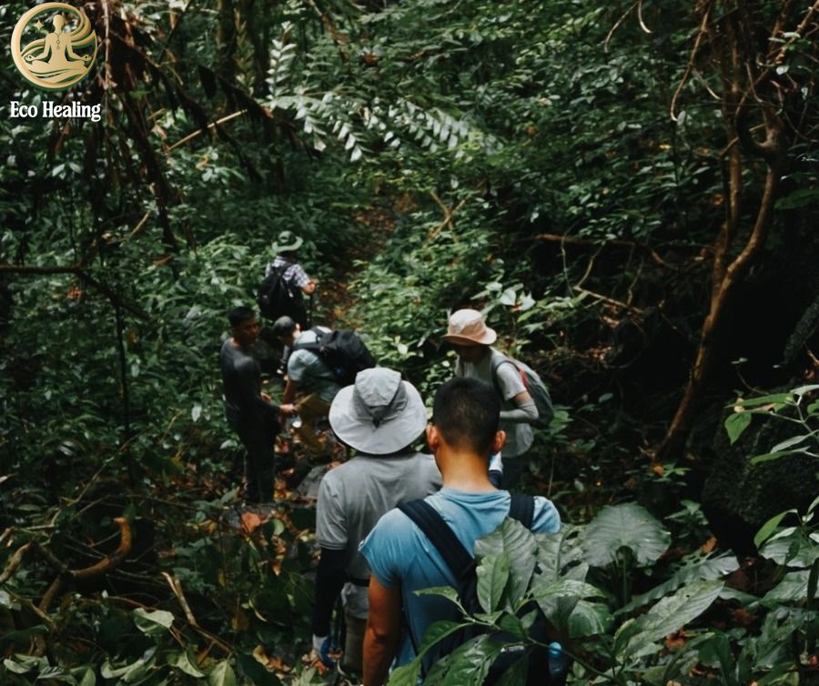 Trekking Cúc Phương mùa bướm bay: Trải nghiệm băng rừng già nguyên sinh.