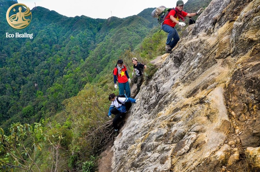 Trekking Fansipan – Cách chuẩn bị & kinh nghiệm chinh phục “Nóc nhà Đông Dương”