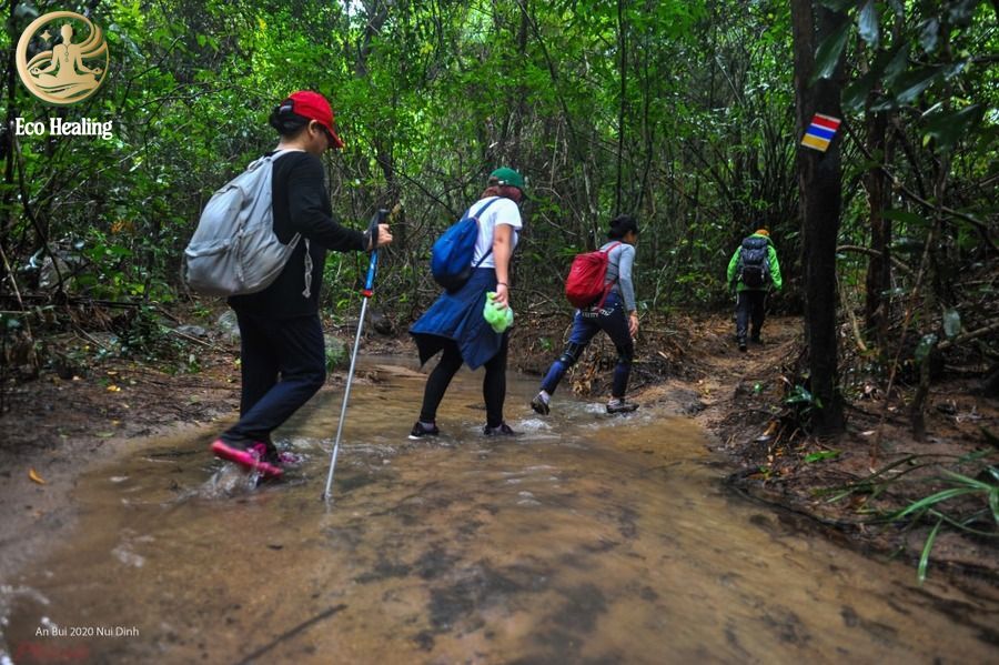 Trekking Núi Dinh (Vũng Tàu): Cung đường suối Tiên mát lạnh giải nhiệt mùa hè.