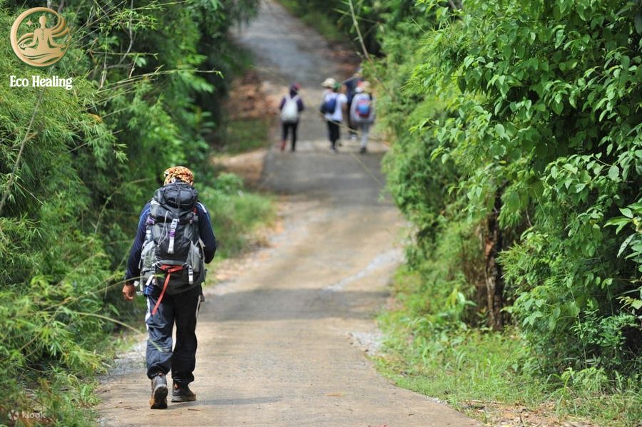 Trekking Núi Dinh (Vũng Tàu): Cung đường suối Tiên mát lạnh giải nhiệt mùa hè.