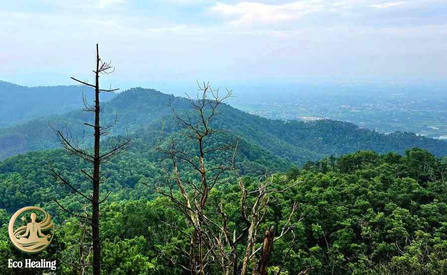 Trekking núi Hàm Lợn – Điểm đến lý tưởng cho người mới bắt đầu