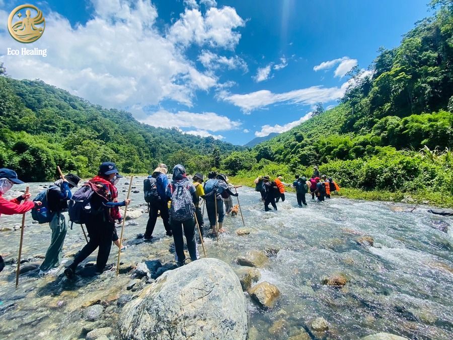 Trekking Tà Giang: Bỏ phố về rừng, khám phá thảo nguyên xanh giữa lòng Khánh Hòa.