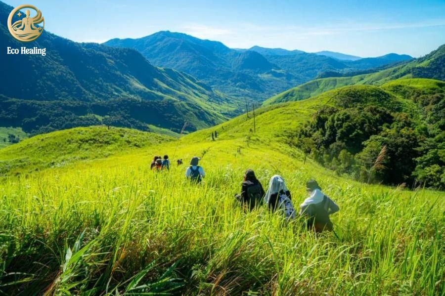 Trekking Tà Giang: Bỏ phố về rừng, khám phá thảo nguyên xanh giữa lòng Khánh Hòa.