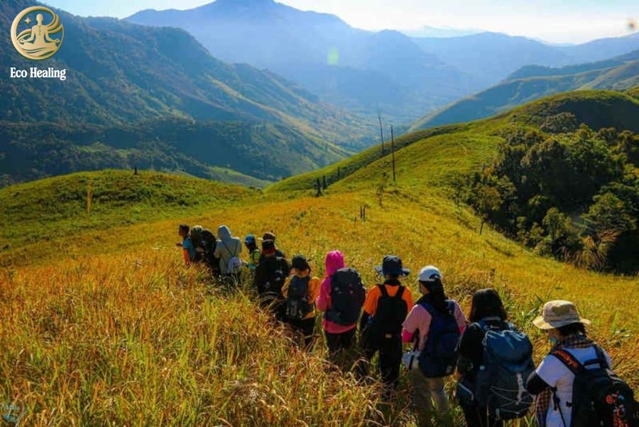 Trekking Tà Giang: Bỏ phố về rừng, khám phá thảo nguyên xanh giữa lòng Khánh Hòa.