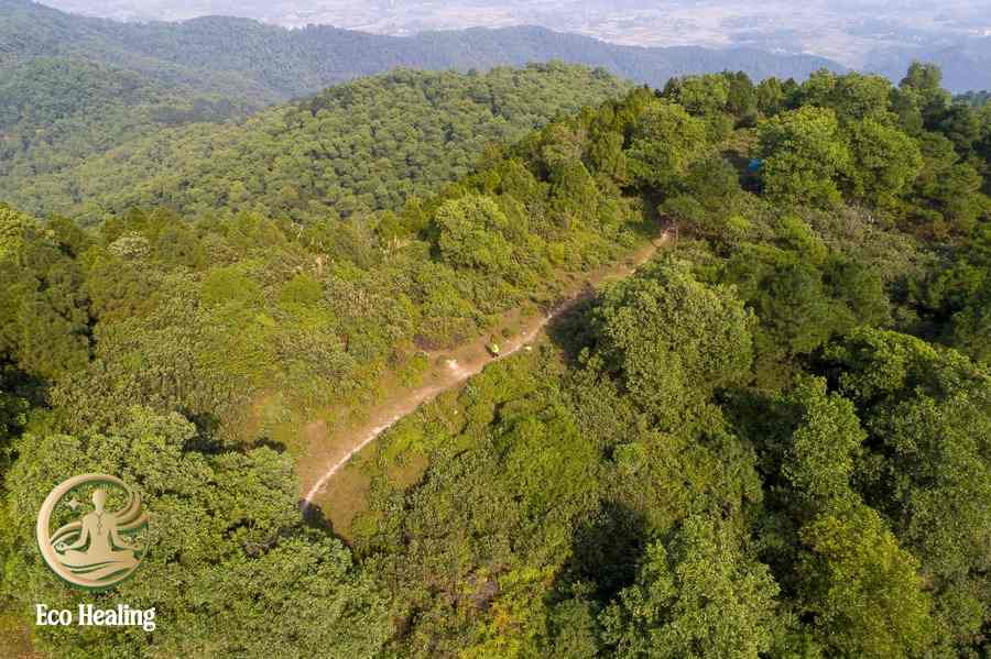 Vì sao trekking Hàm Lợn phù hợp cho chuyến đi chữa lành ngắn ngày?