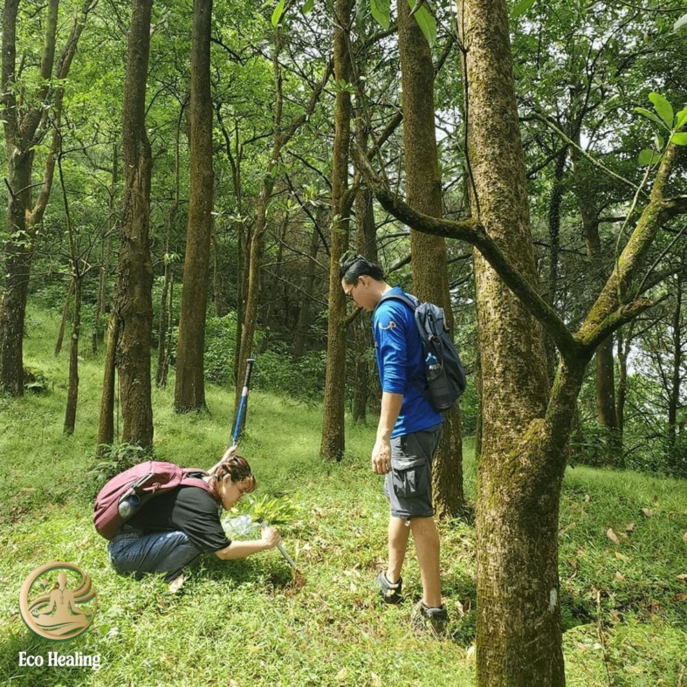 Vì sao trekking Hàm Lợn phù hợp cho chuyến đi chữa lành ngắn ngày?