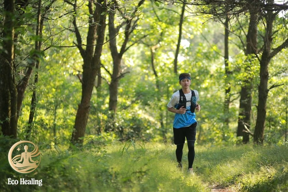 Vì sao trekking Hàm Lợn phù hợp cho chuyến đi chữa lành ngắn ngày?