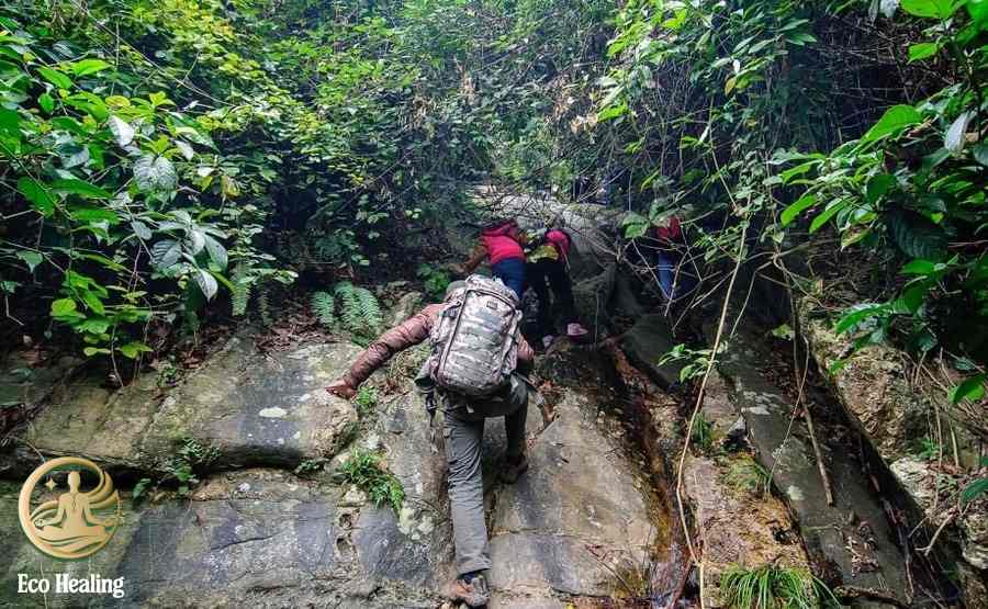 Vì sao trekking Hàm Lợn phù hợp cho chuyến đi chữa lành ngắn ngày?