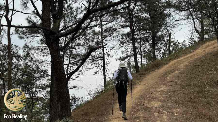 Vì sao trekking Hàm Lợn phù hợp cho chuyến đi chữa lành ngắn ngày?