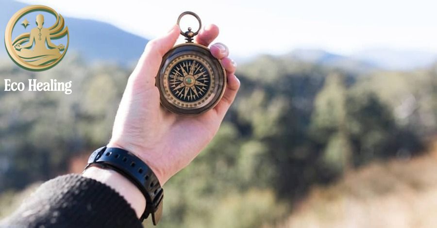 Cách sử dụng Bản đồ và La bàn (hoặc ứng dụng) khi lạc đường.