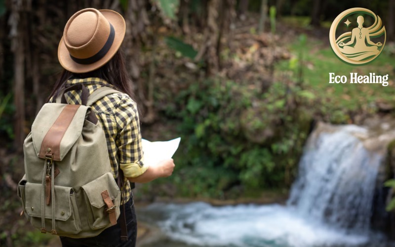Kỹ năng sống còn: Cách tìm và lọc nước uống an toàn trong rừng.