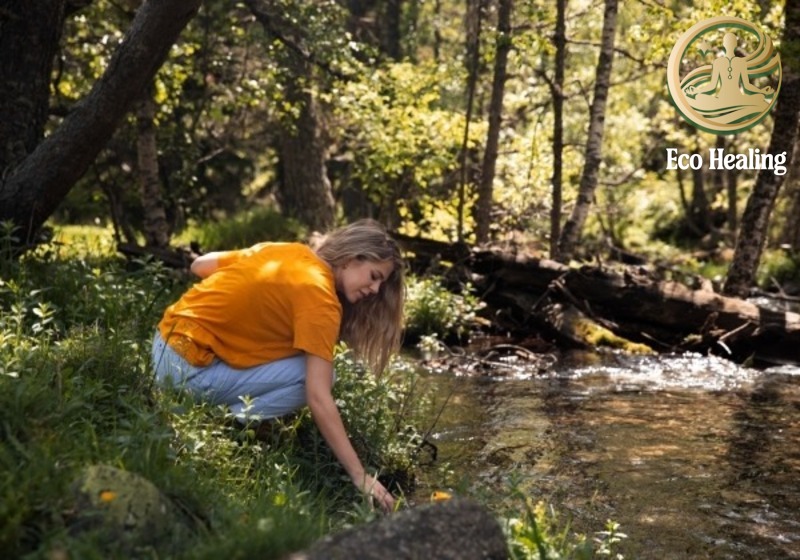 Kỹ năng sống còn Cách tìm và lọc nước uống an toàn trong rừng.