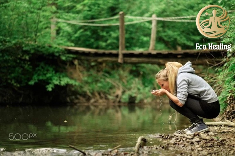 Kỹ năng sống còn Cách tìm và lọc nước uống an toàn trong rừng.