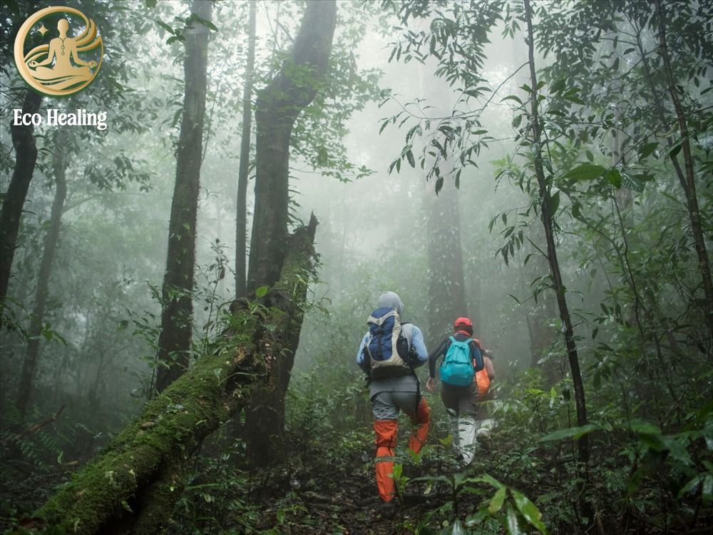 Kỹ thuật đeo ba lô đúng cách: Tránh đau lưng và vai gáy.