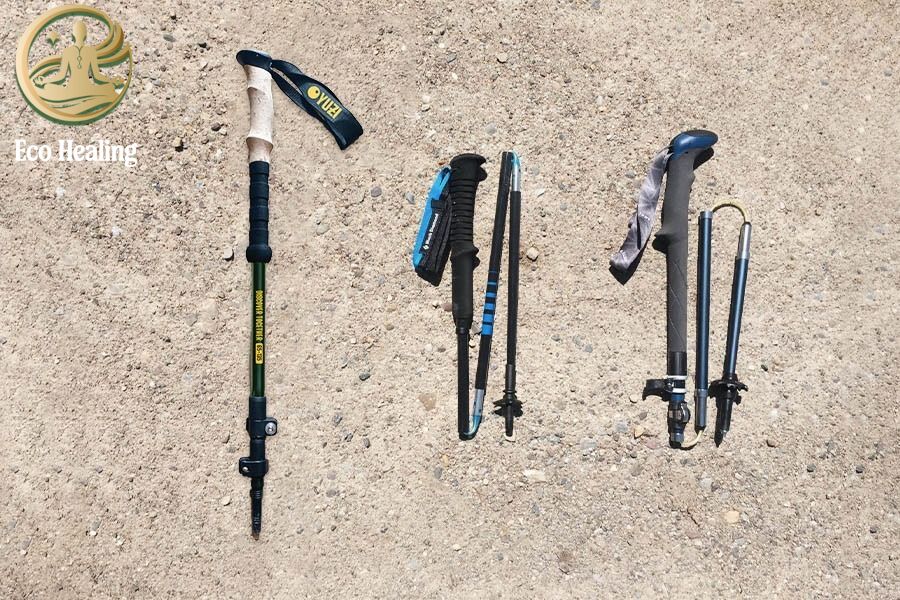 So sánh: Nên mua Gậy Trekking loại nào? Carbon hay Hợp kim?