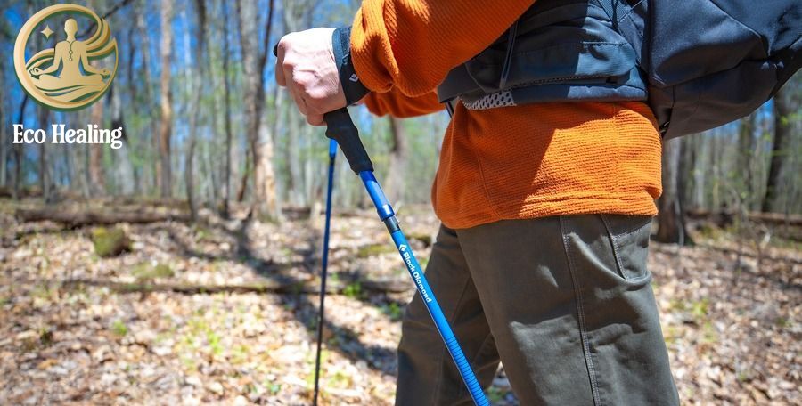 So sánh: Nên mua Gậy Trekking loại nào? Carbon hay Hợp kim?