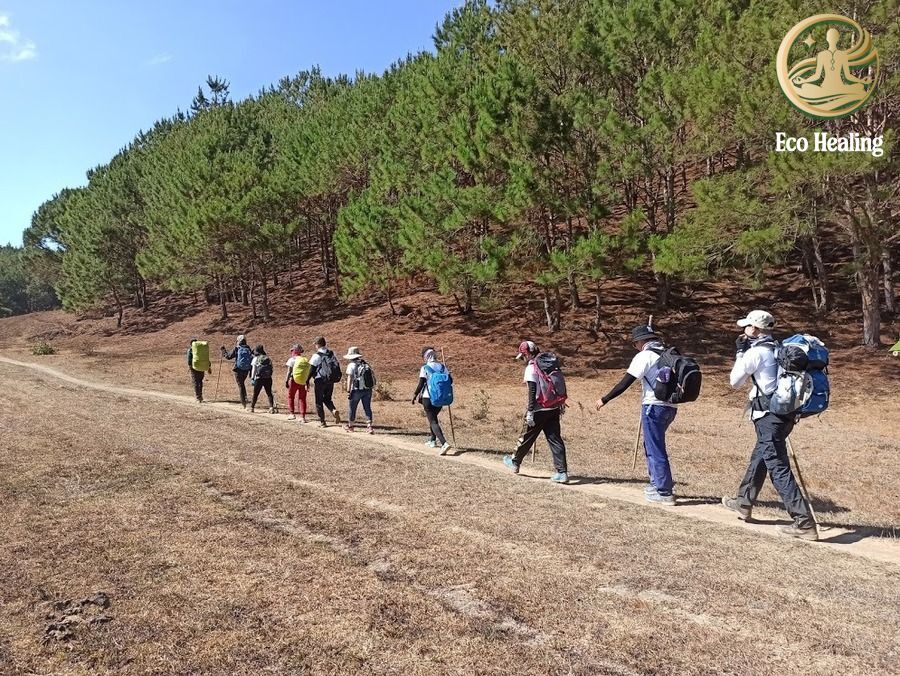 3 Cách để Giữ tinh thần tích cực khi gặp khó khăn trên đường Trek.