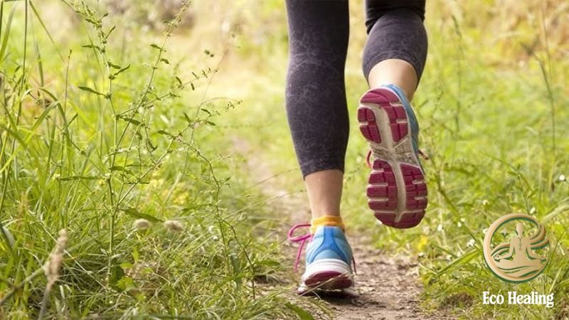 Bí mật của Trekker chuyên nghiệp: Tập luyện thể lực như thế nào?