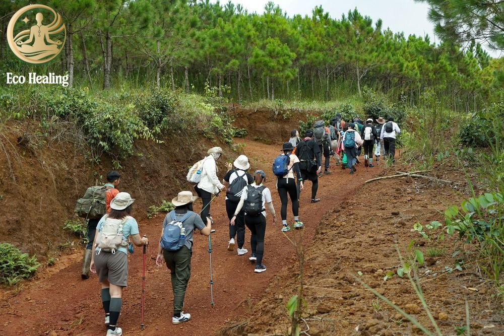 Hướng dẫn cách đi Trekking theo nhóm hiệu quả và an toàn.