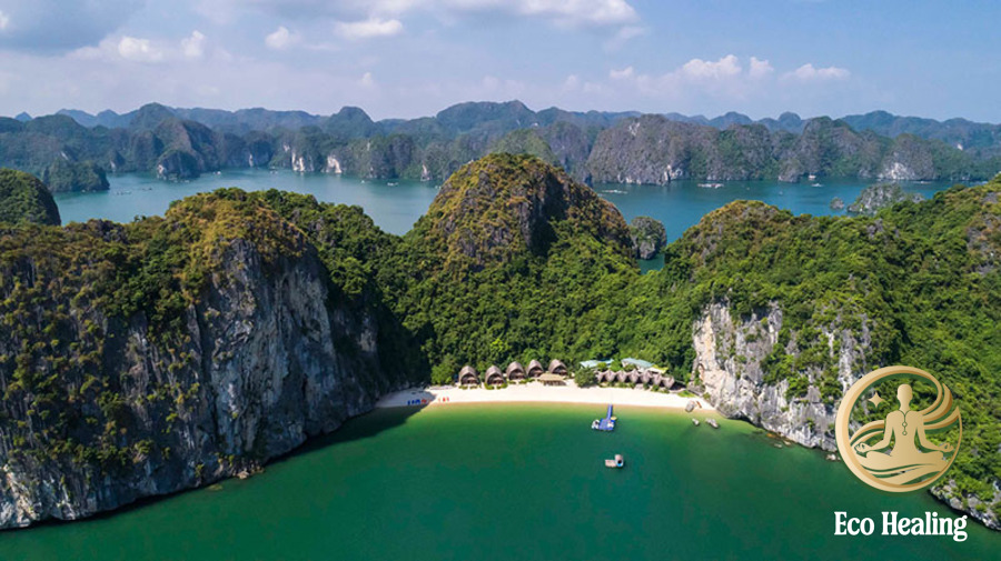 Cẩm nang du lịch xanh: Bảo vệ rừng và biển Cát Bà bằng hành động nhỏ.