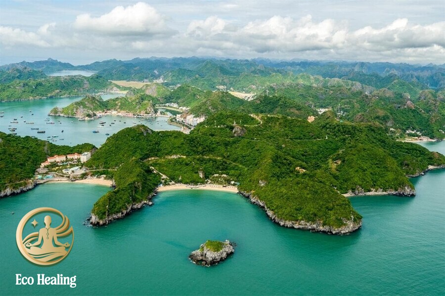 Cung đường Trekking độc đáo: Xuyên rừng Quốc Gia ra bãi biển hoang sơ