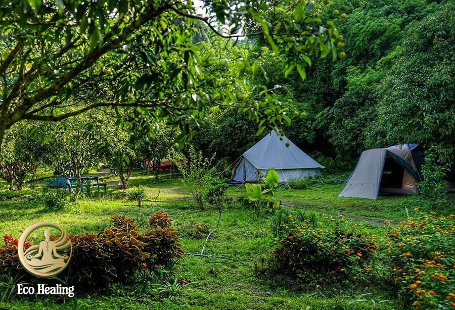 [HOT] Cắm Trại Qua Đêm Cát Bà: Địa điểm bí mật ngắm Vịnh Lan Hạ đẹp nhất.